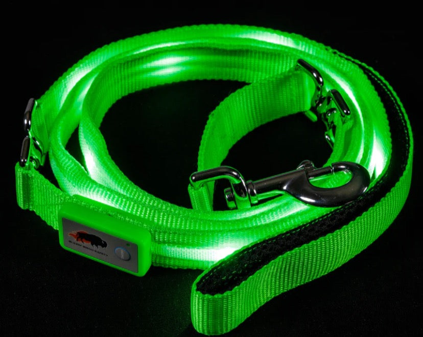 GlowSafe LED Dog Leash – Night Safety Made Easy