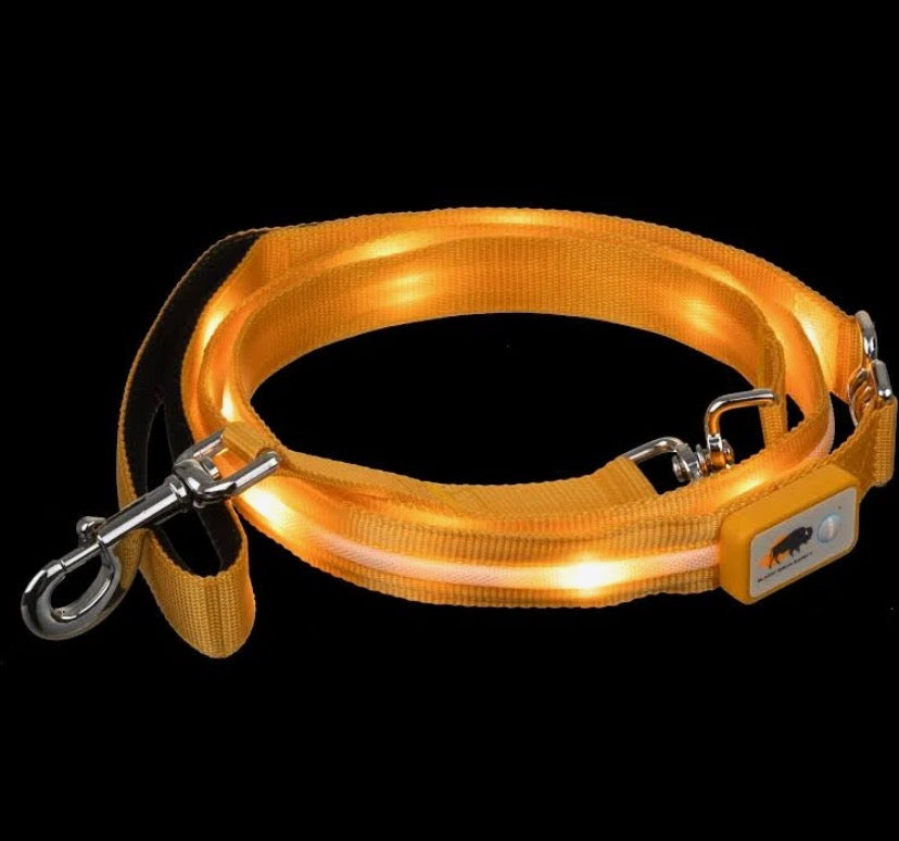GlowSafe LED Dog Leash – Night Safety Made Easy