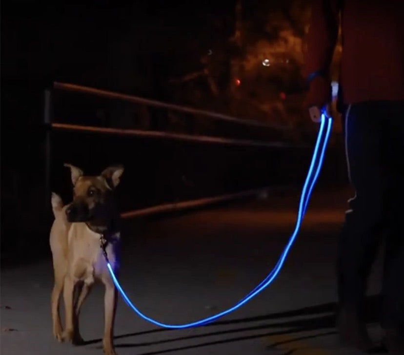GlowSafe LED Dog Leash – Night Safety Made Easy