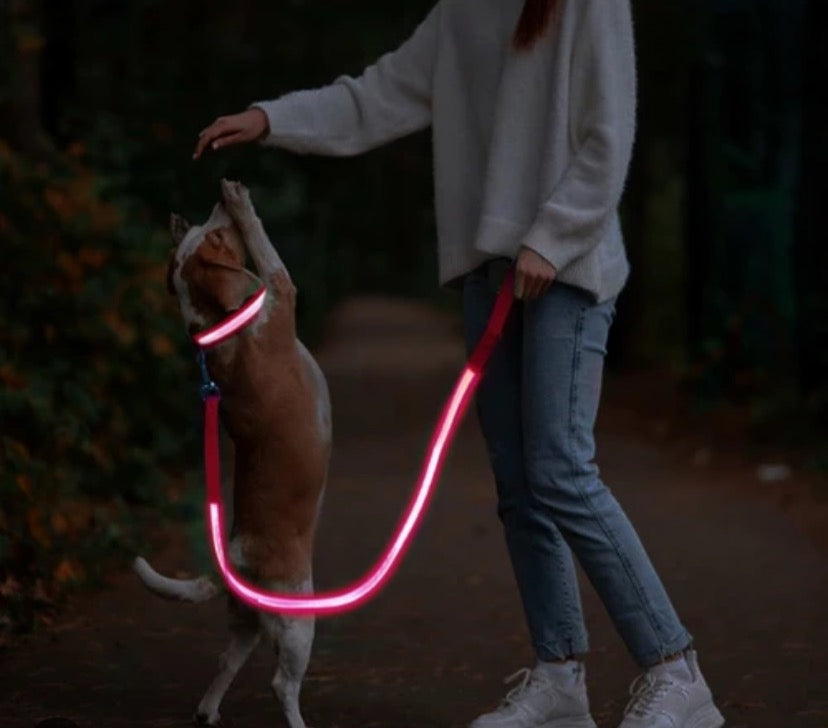 GlowSafe LED Dog Leash – Night Safety Made Easy